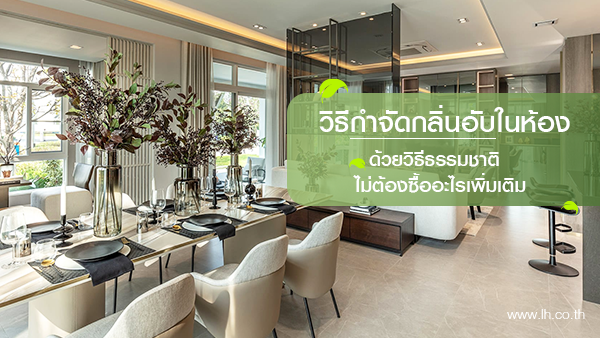 10 วิธีลดกลิ่นเหม็นอับชื้น เปลี่ยนห้องให้หอมสดชื่น