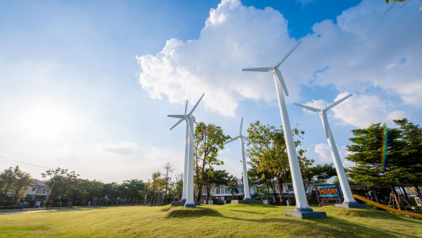 พฤกษ ลดา ประชาอ ท ศ 90