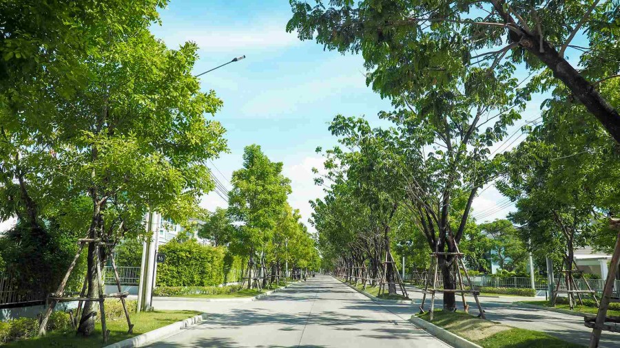villaggio ป นเกล า ศาลายา
